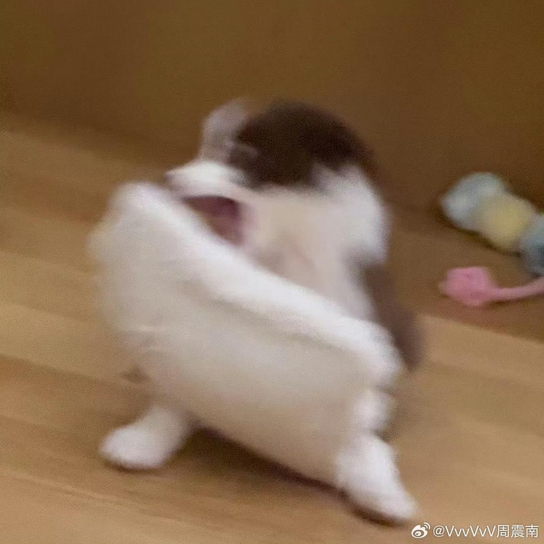 小小鱼干