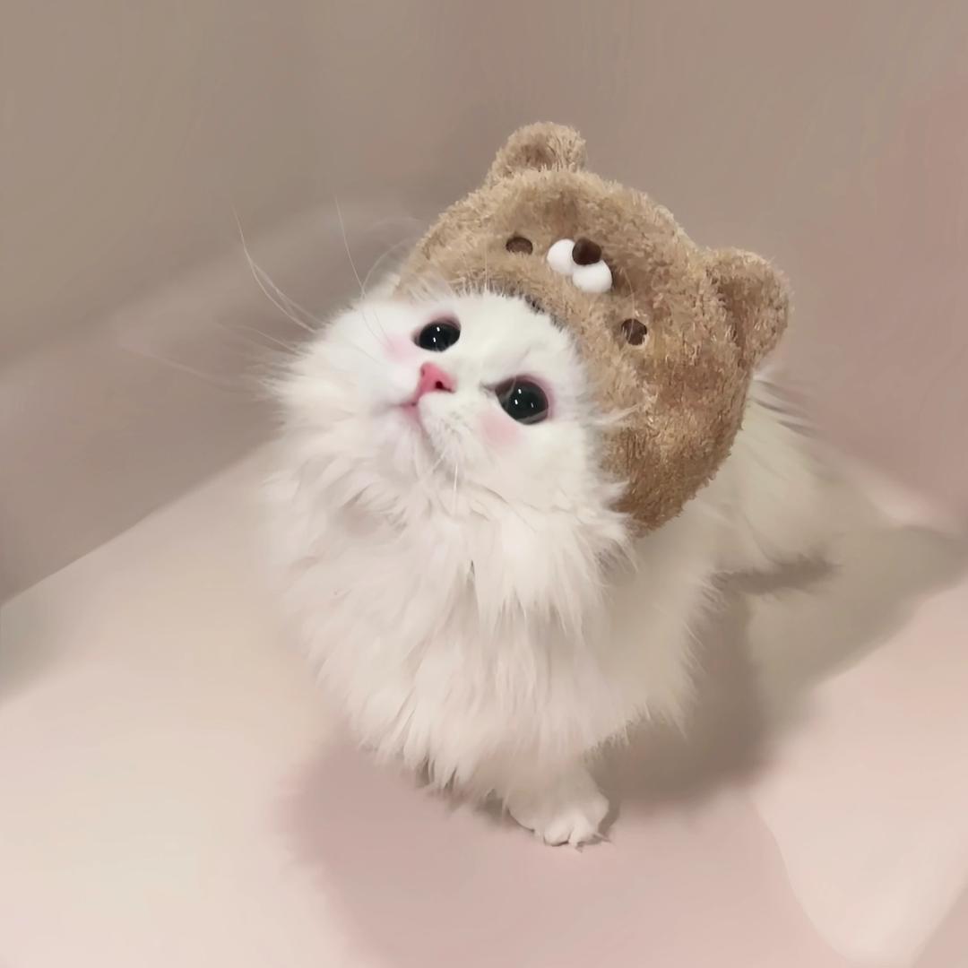 心怡baby