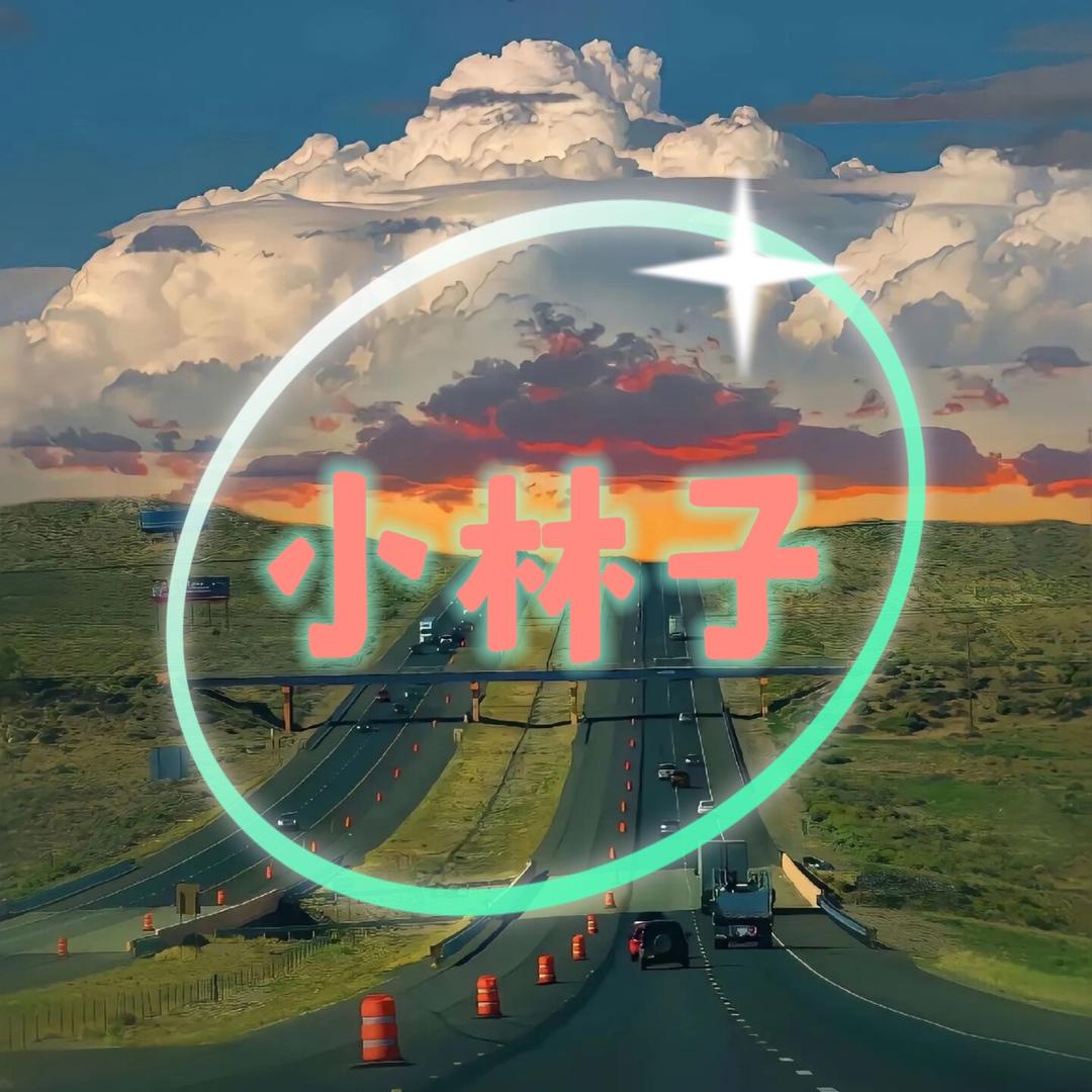 小林子好物分享