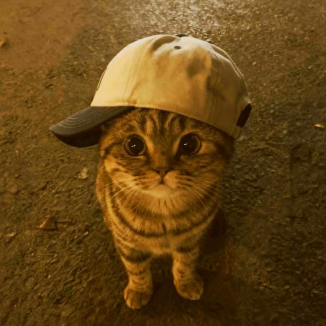 ￴ ￴￴ ￴ ￴￴