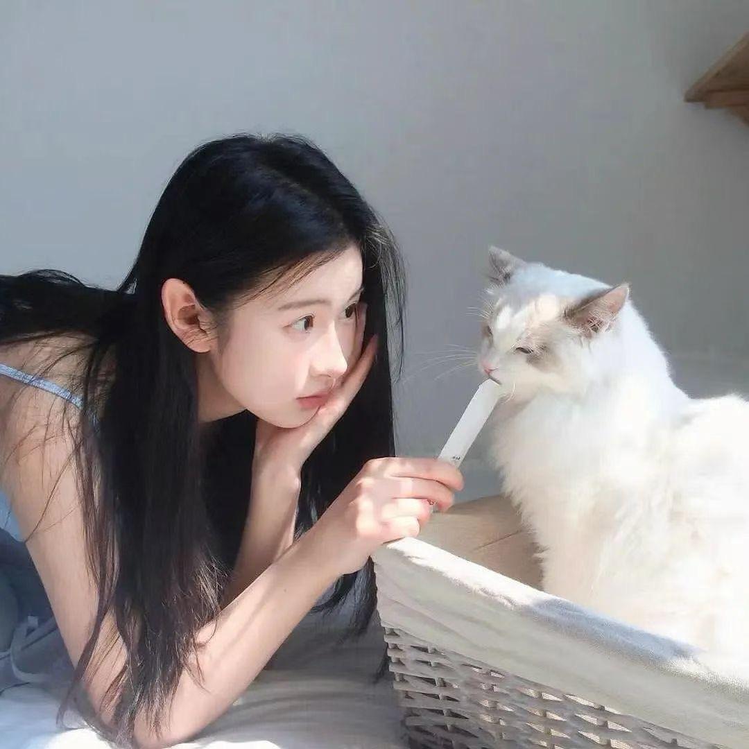 小猪吃蛋挞