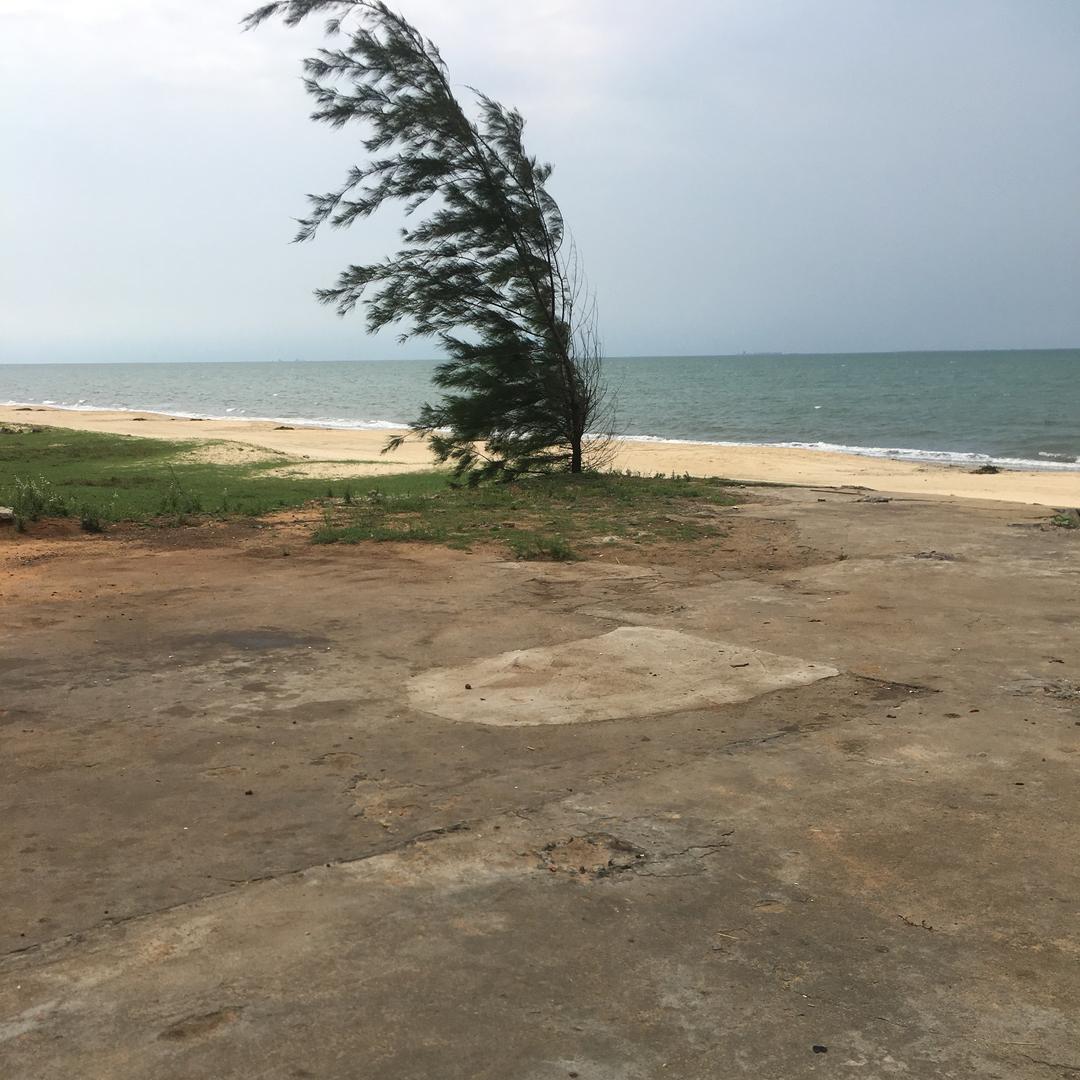 沙漠雄鹰