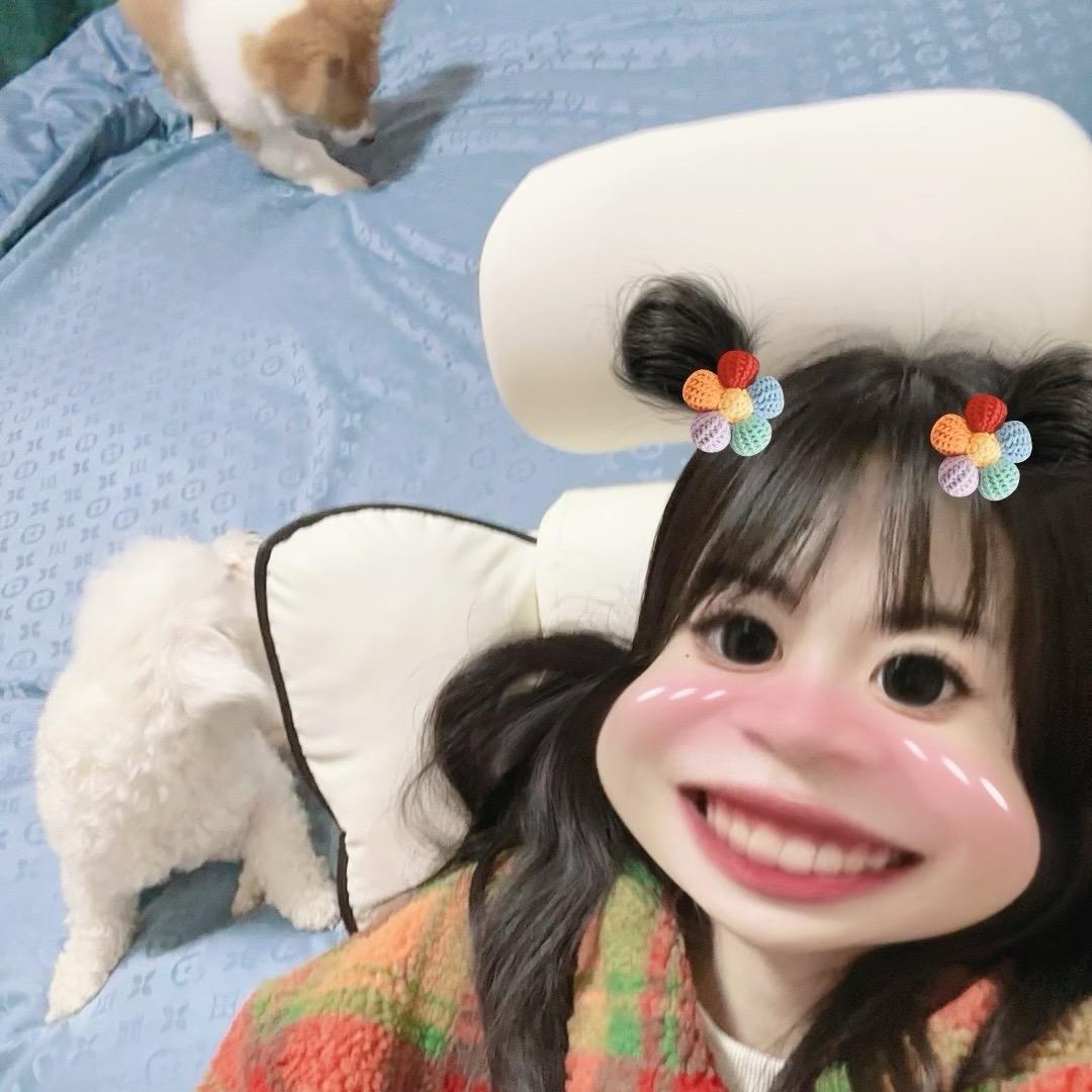 猫狗双全
