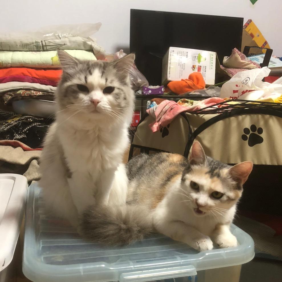 家有腐团儿一家亲