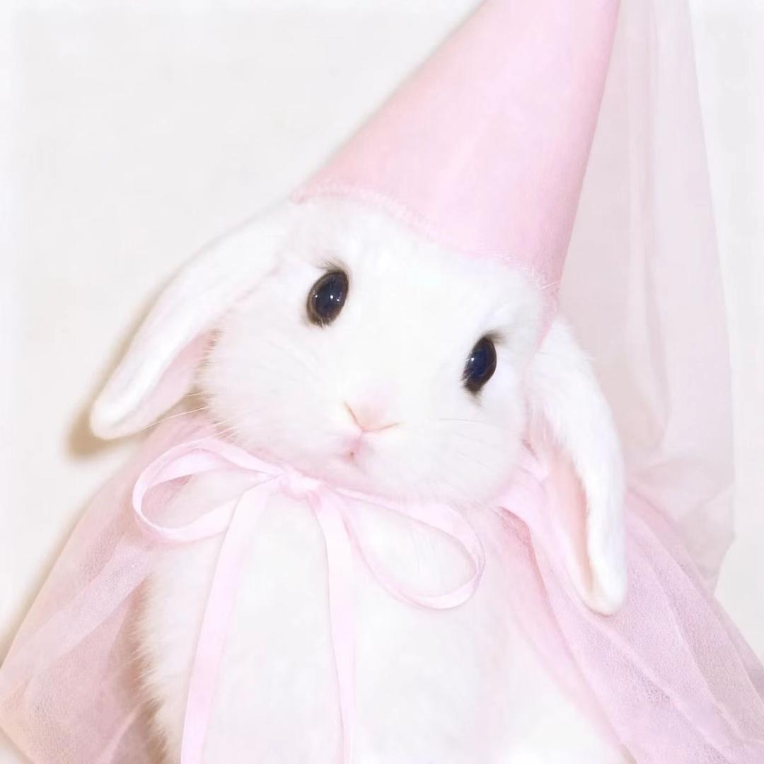 抖音美女用户（举得起3kg版