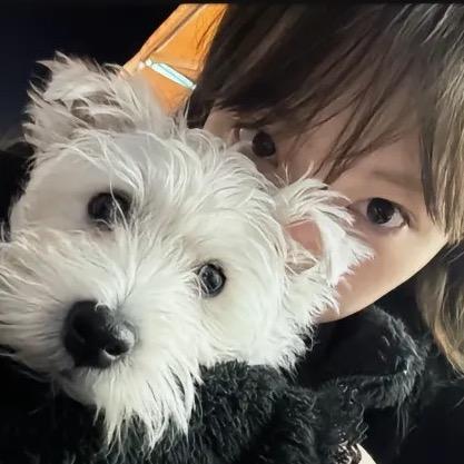 喵苗淼妙.