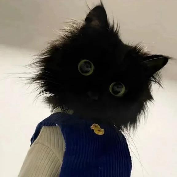 做个纯情的帅哥