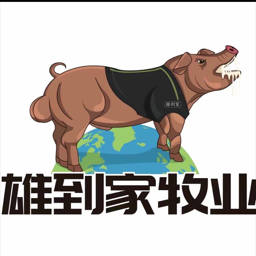 雄到家牧业·孙汝雪