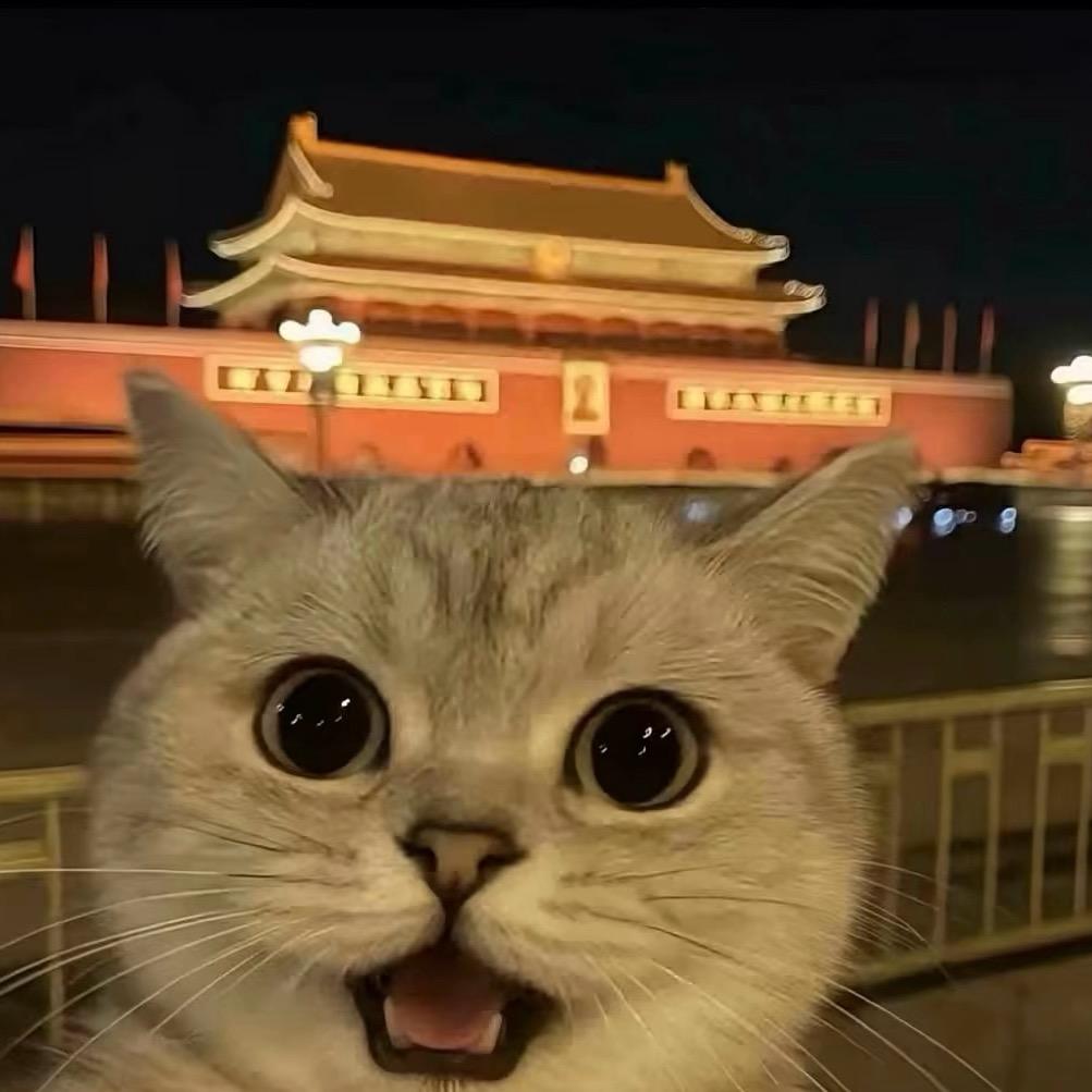 小高ya