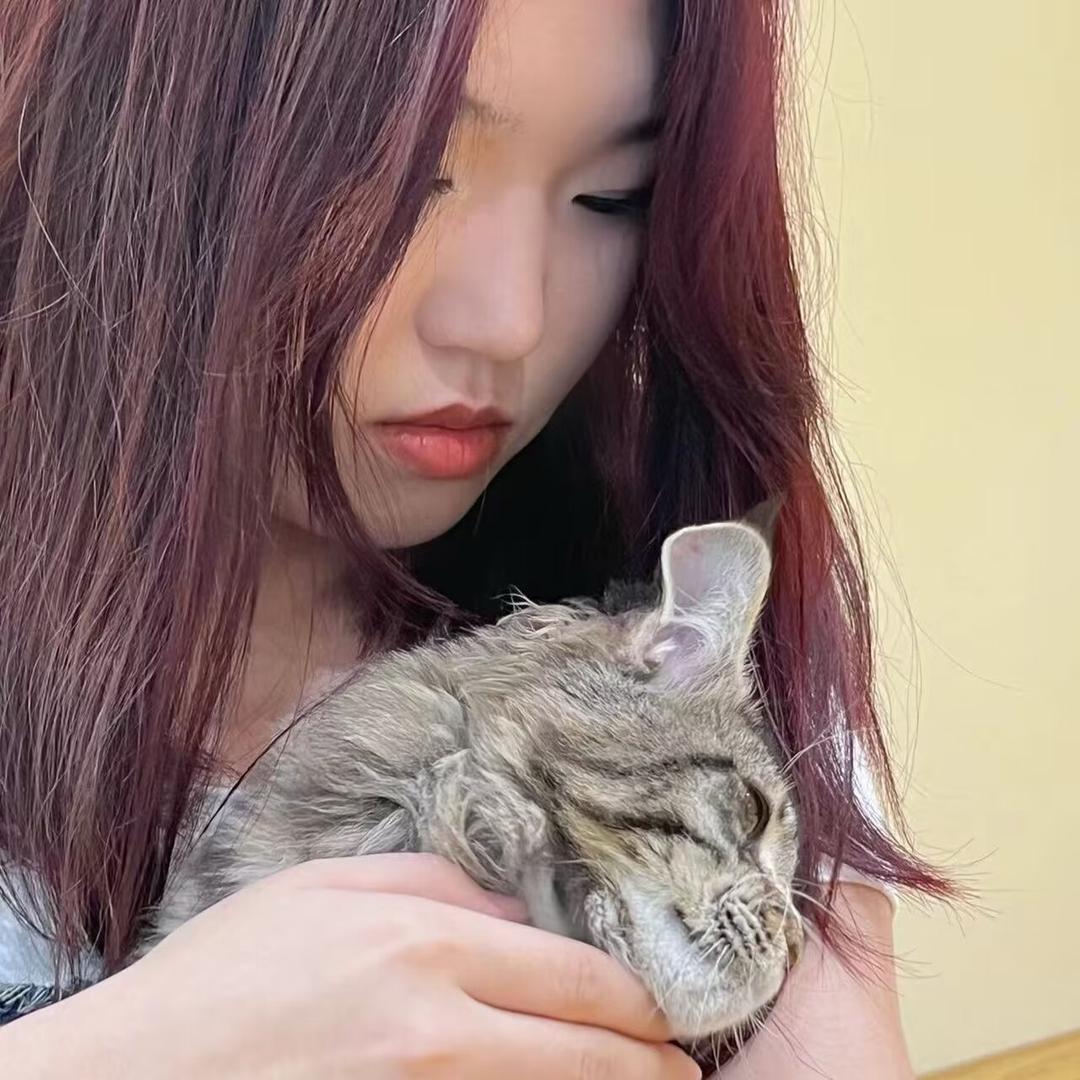 口袋.
