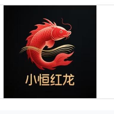 小恒龙鱼