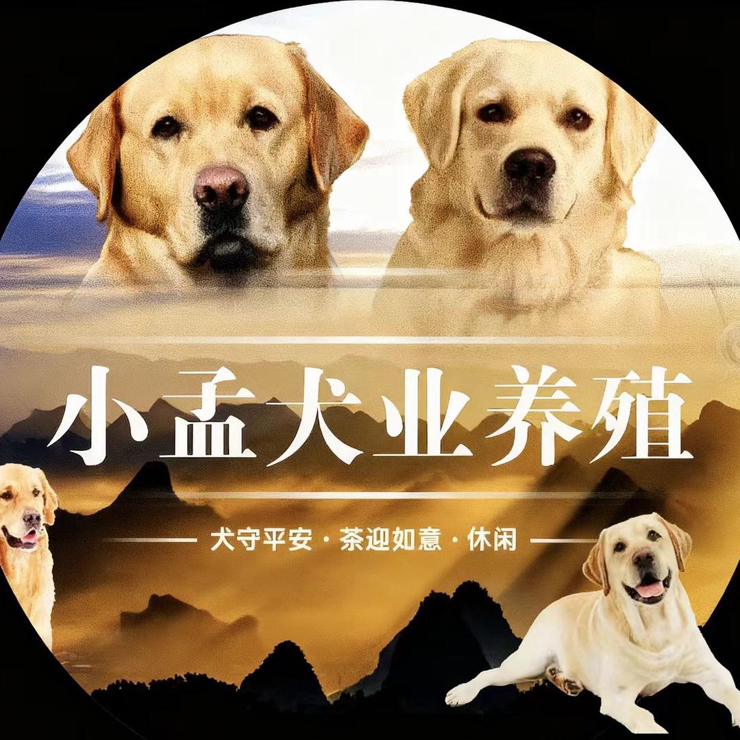 小孟犬业养殖