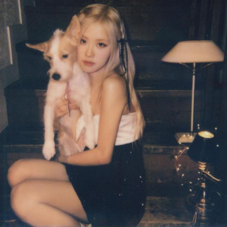 晕晕𝔂𝓵 ⋆𐙚₊˚