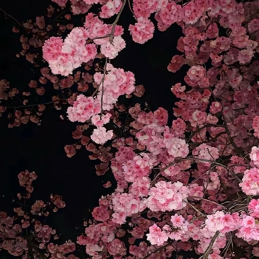 是孟不是梦💋