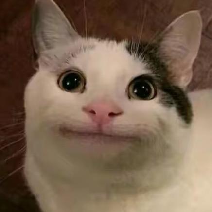 鱼饼