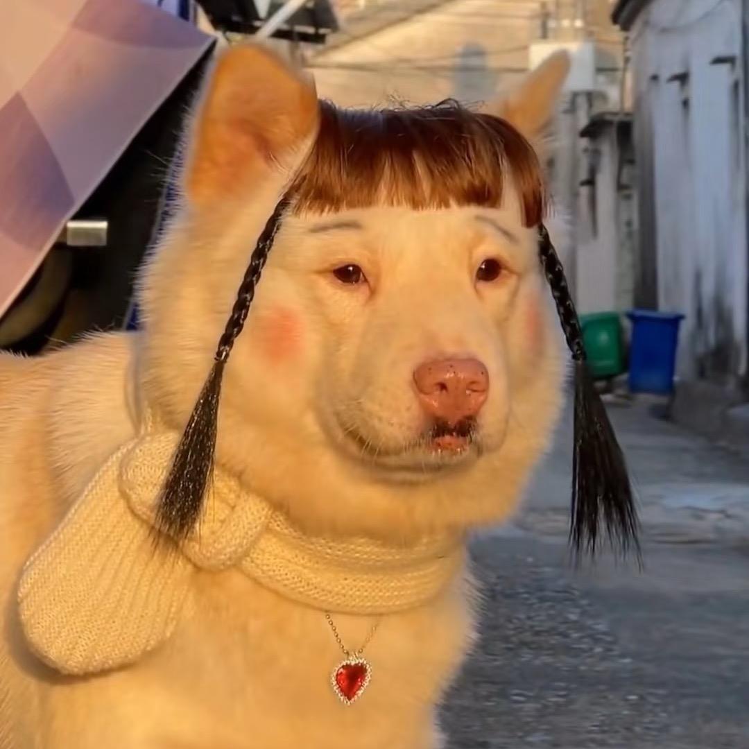 仙女妹妹💕
