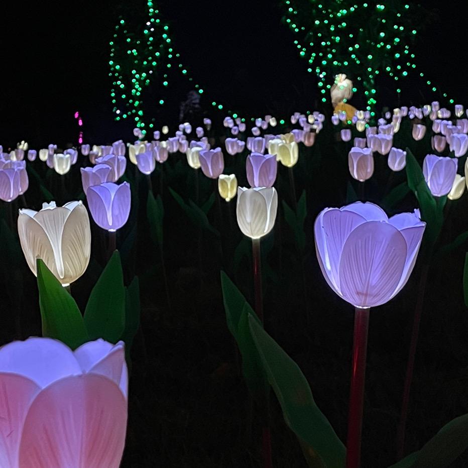 文旅游玩推荐-九九