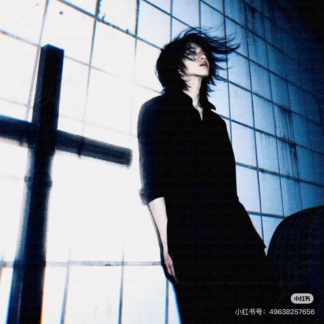 南山不会落梅花