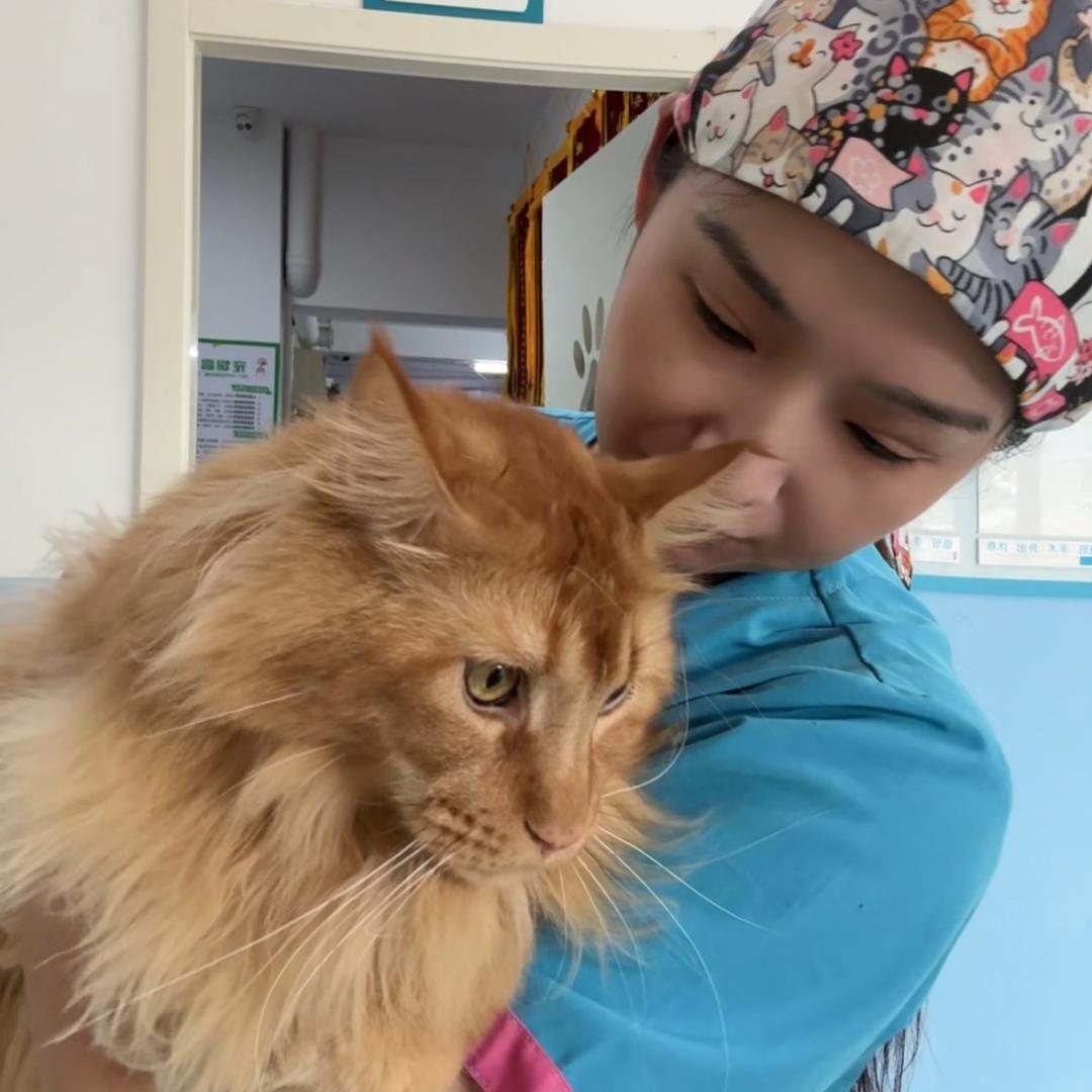 养猫养狗刘一一