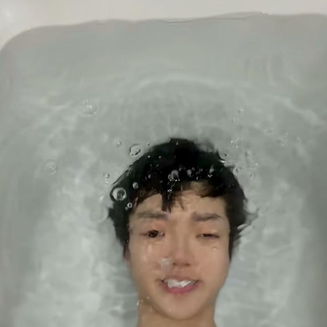 小狗说猫爱流泪