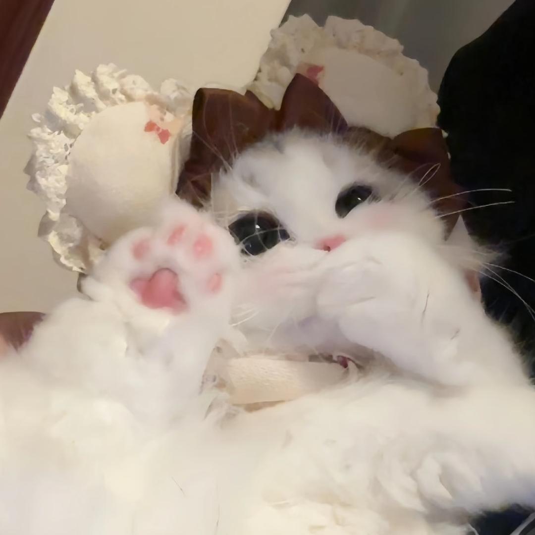 哥哥你看她