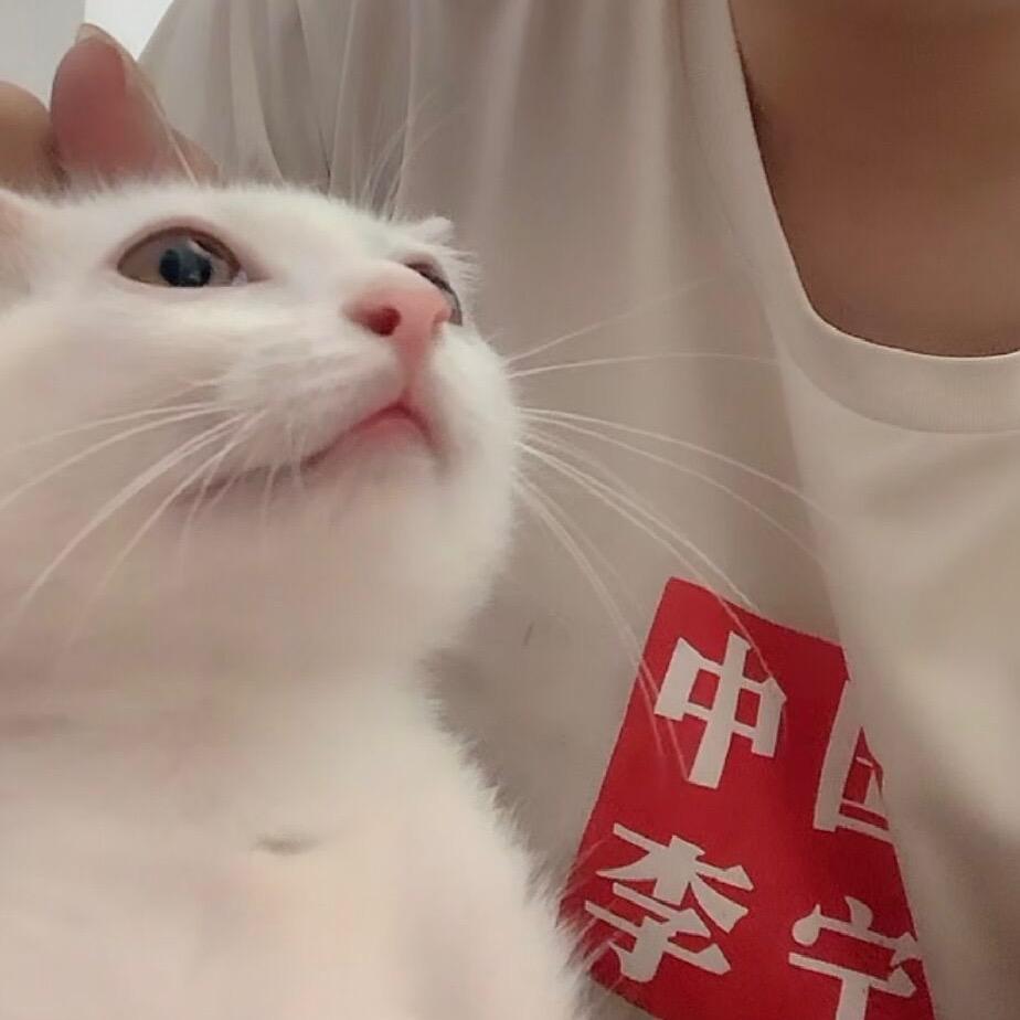 guihua杂货铺