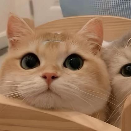 墩