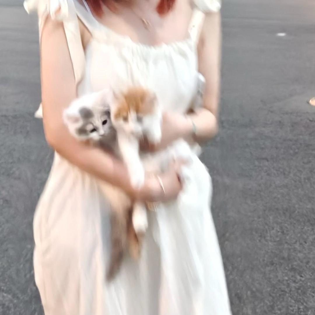 飞天大野猪