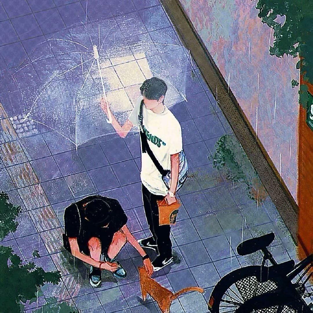卷毛小狗