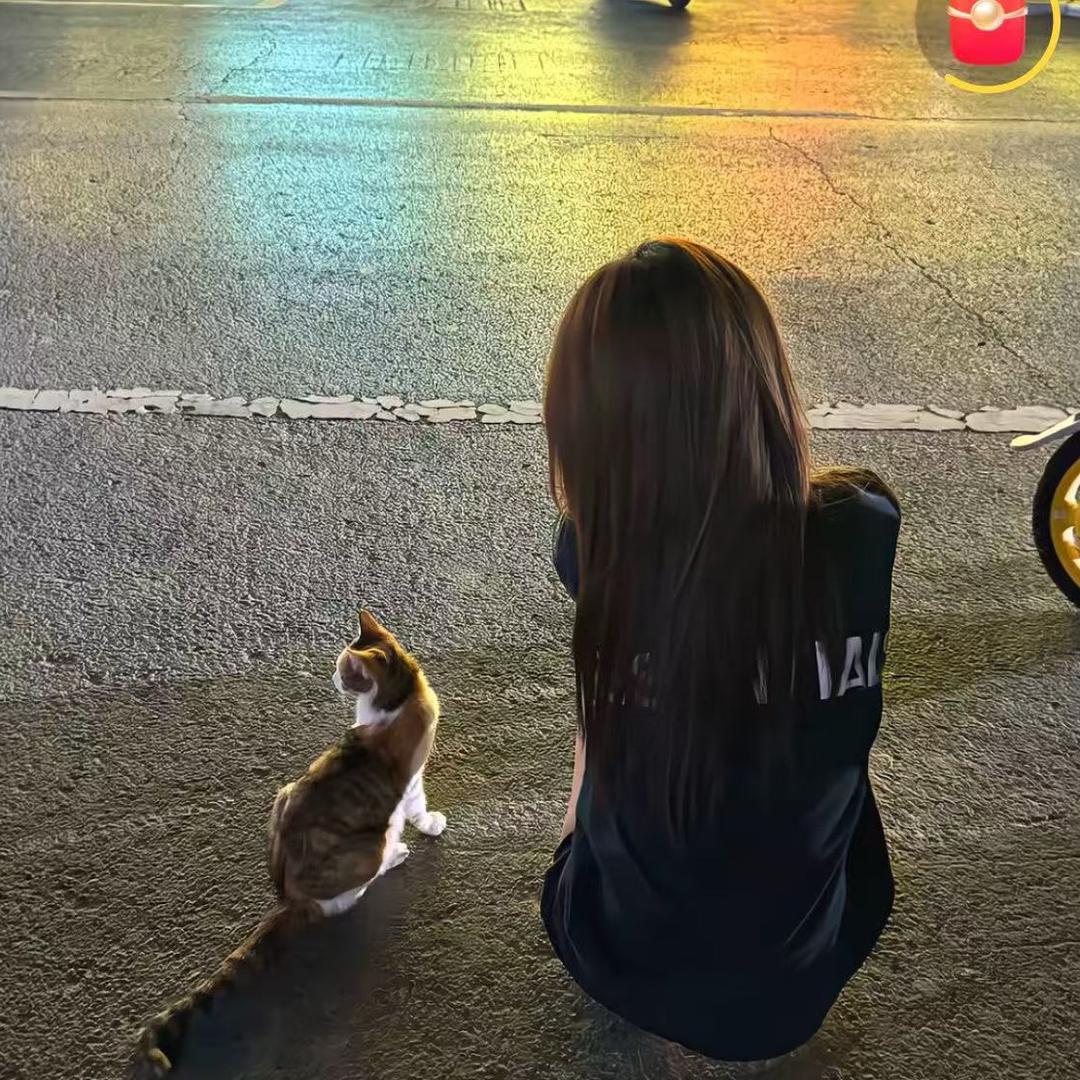 🐾