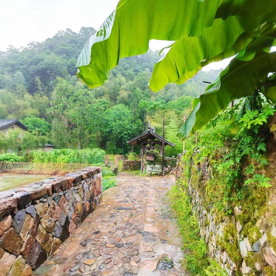 Li洁