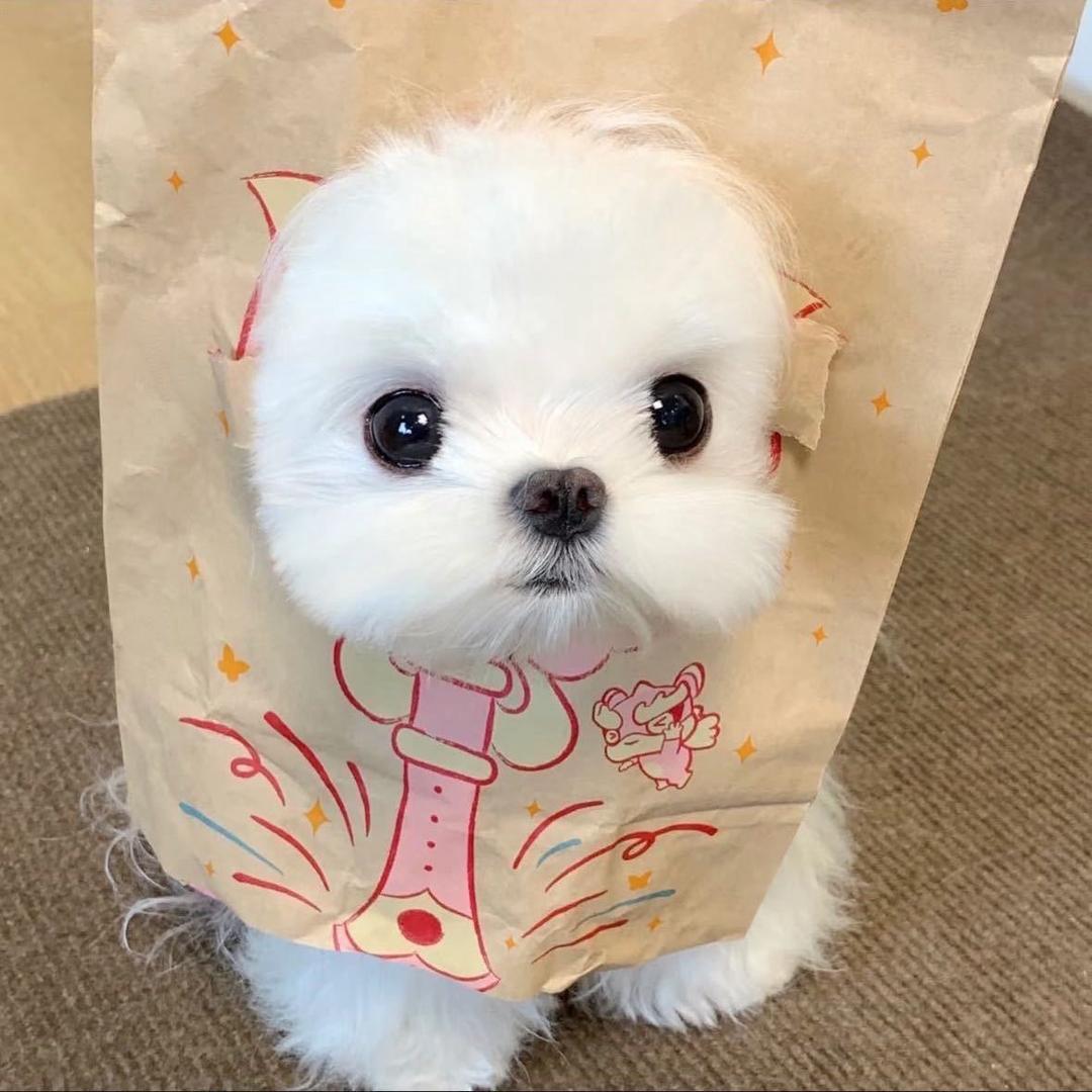 能否我