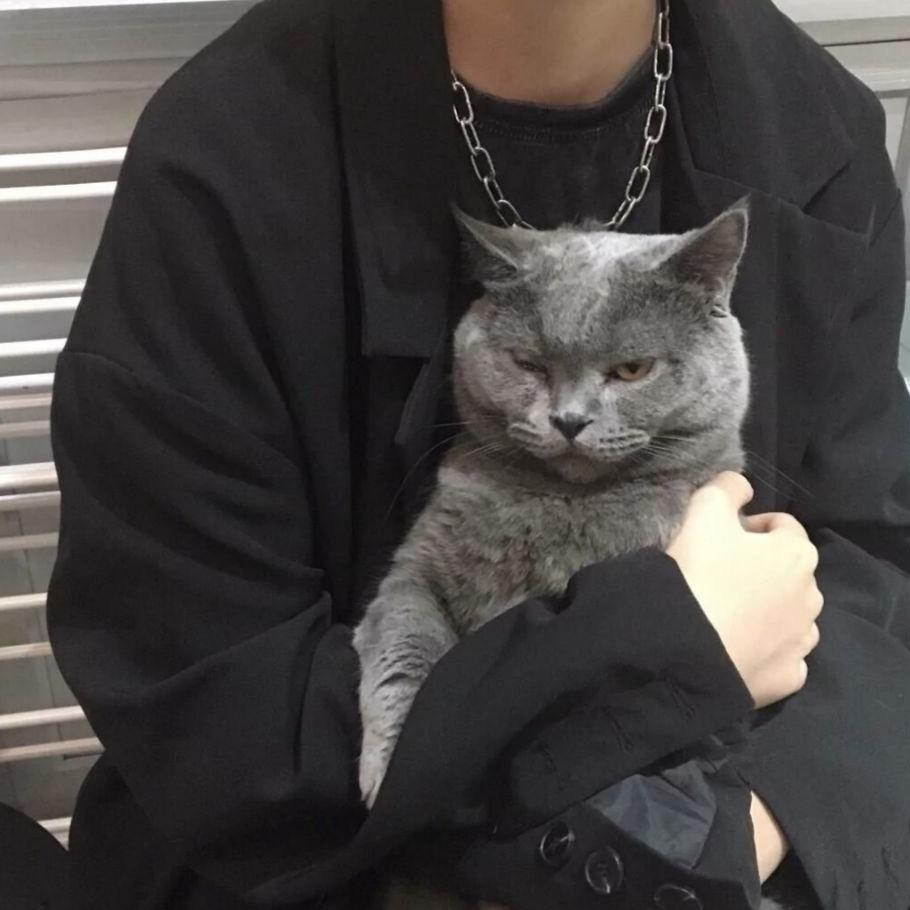 Z. ￴ ￴ ￴￴ ￴ ￴ ￴