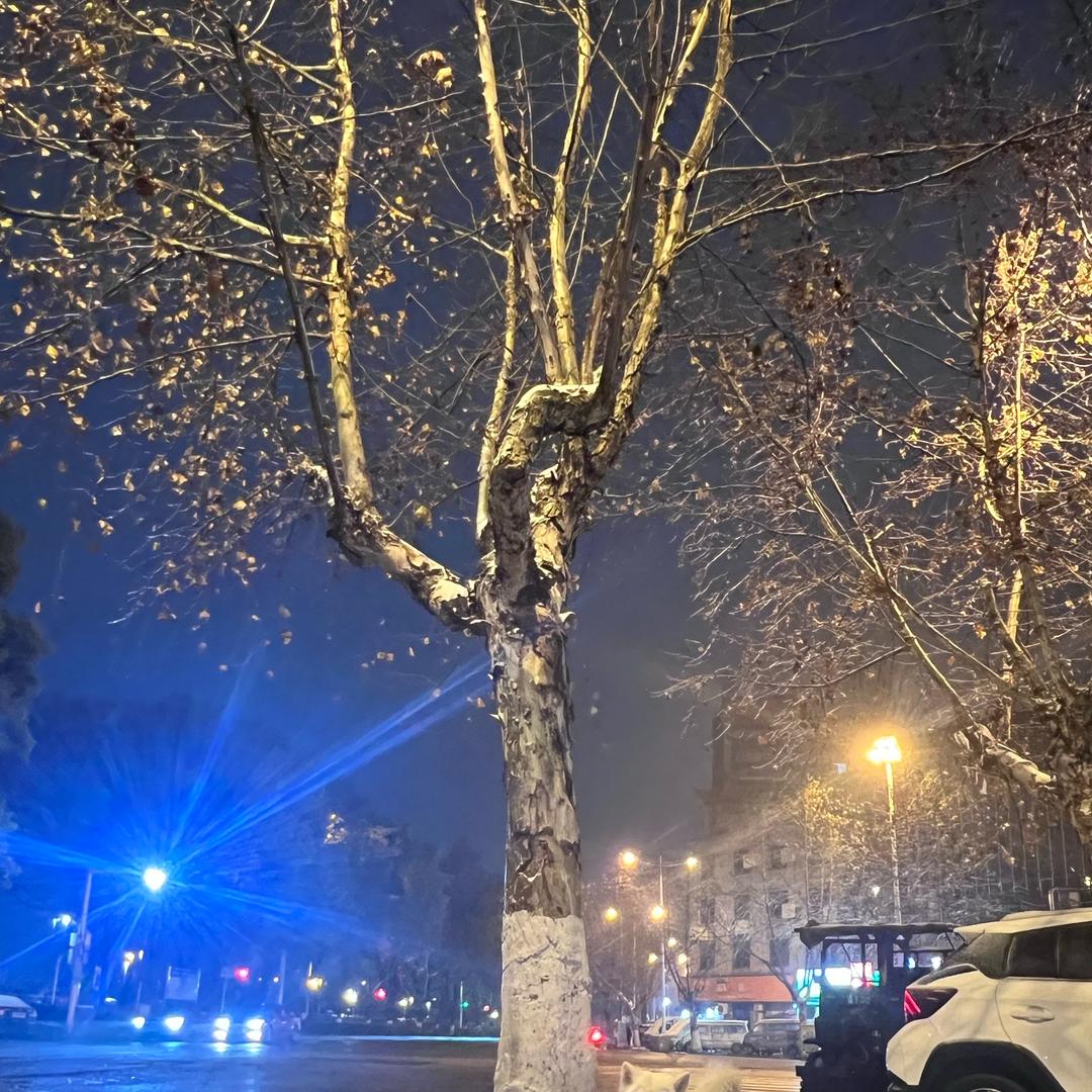 🍋芒果绵绵冰