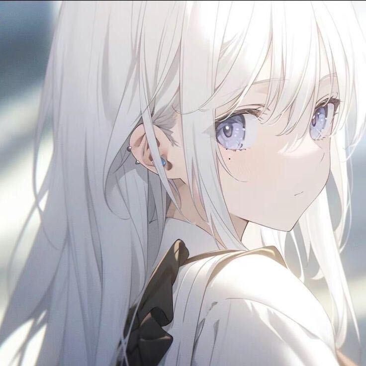 小橙子的小李子