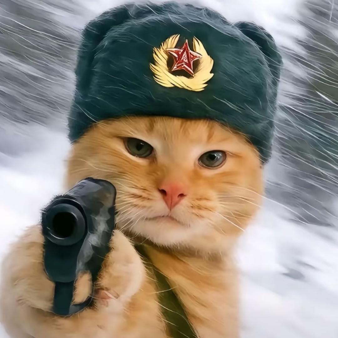 文所未闻