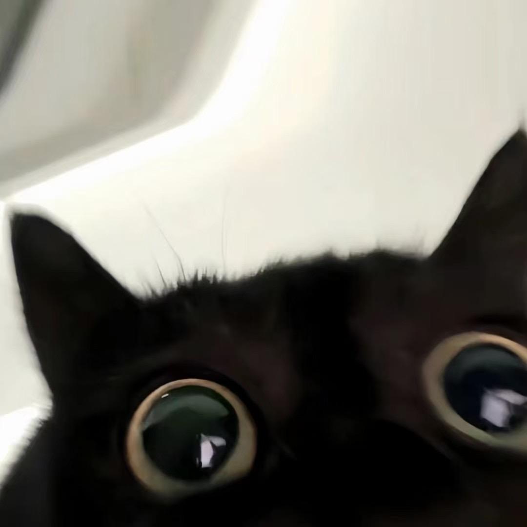 周一