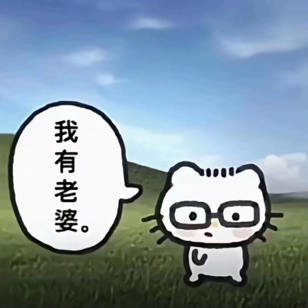 说了你又不高兴