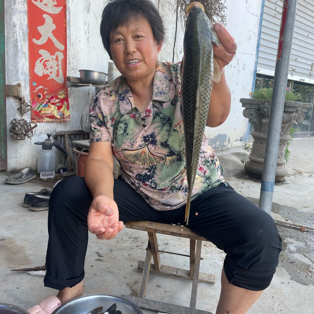 落叶知秋（感恩有你）
