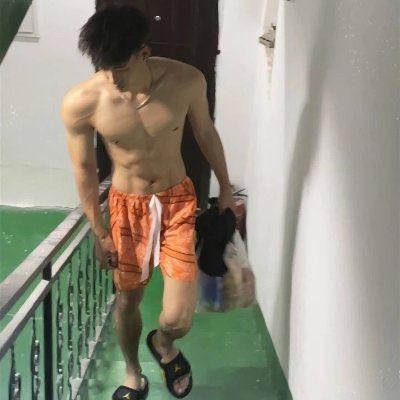两只羊