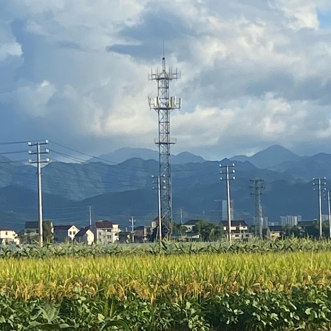 阿修罗