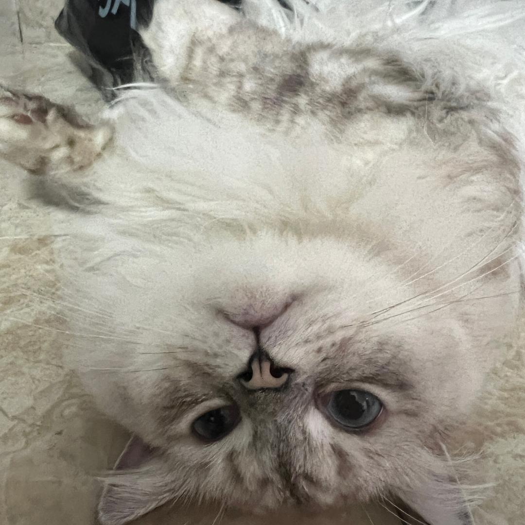 嘉鱼县明威百货商行