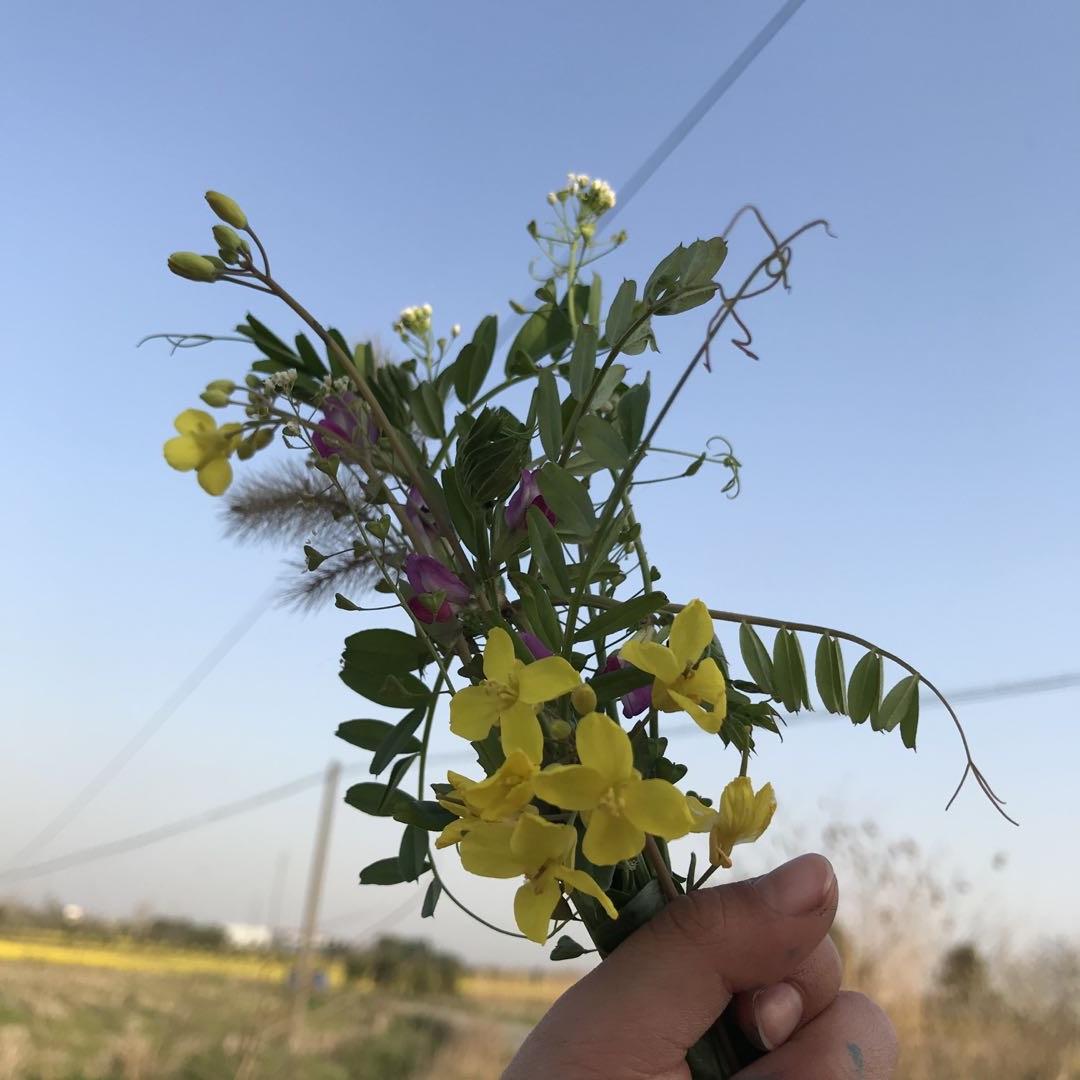 herry奶奶
