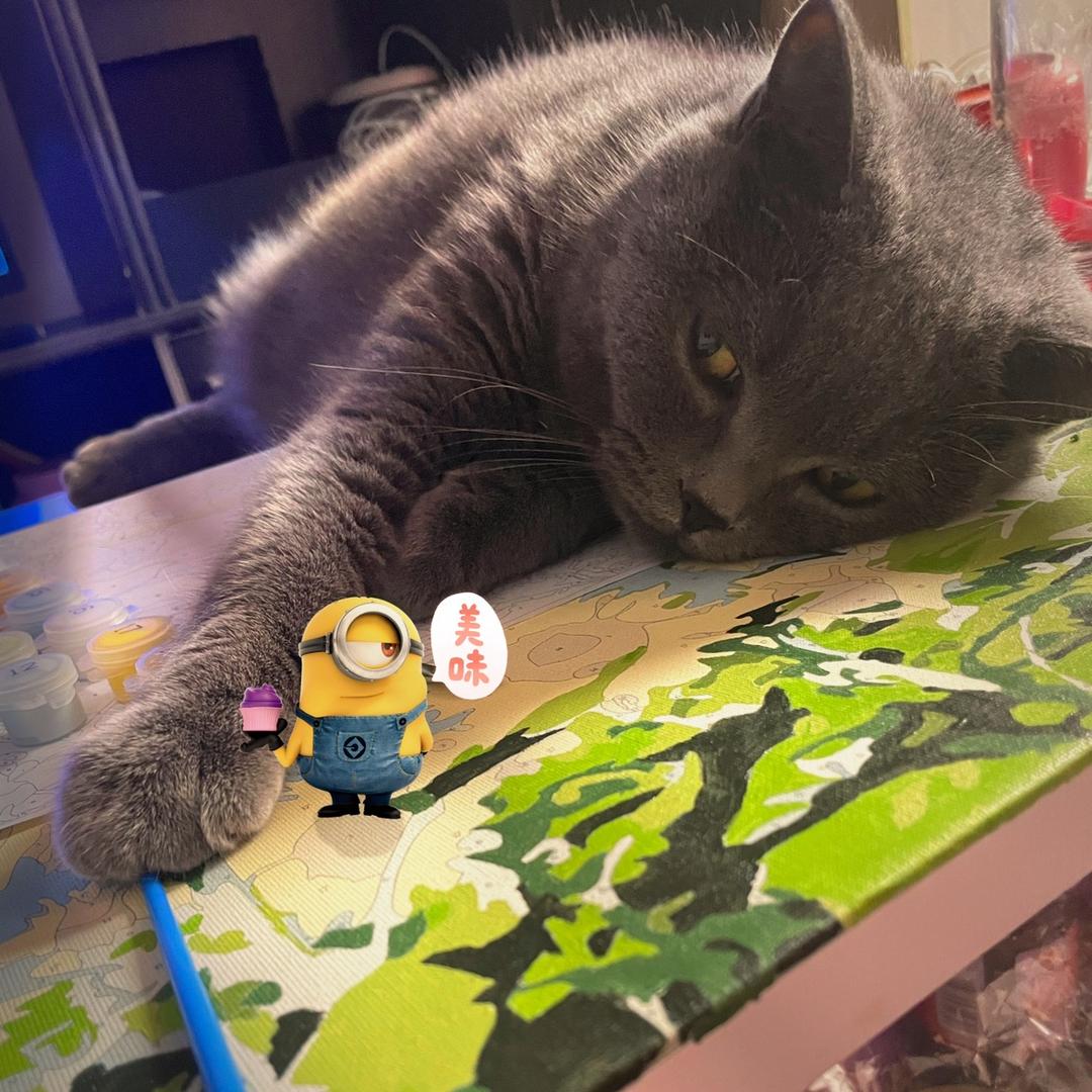 哈哈哈哈哈哈羊呀