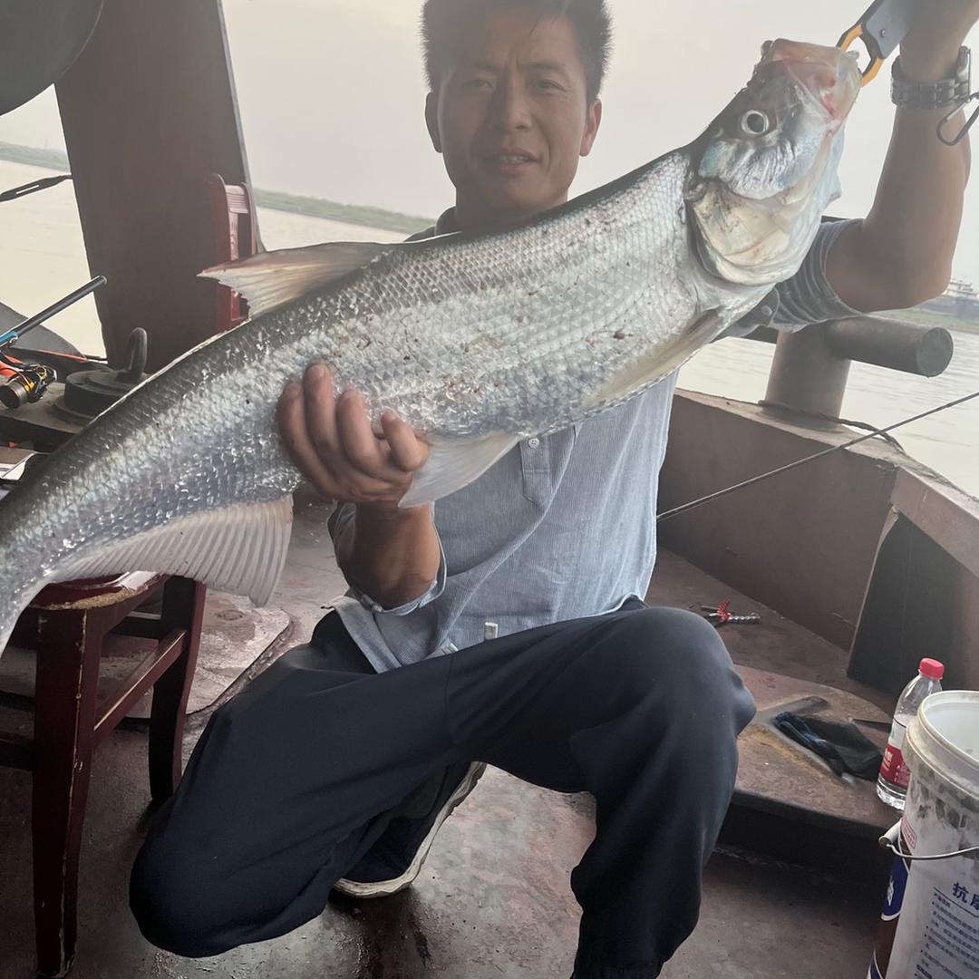 越南钓翘嘴专业户