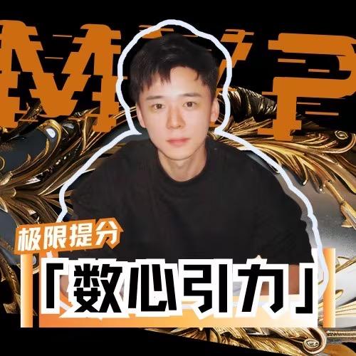 数心引力