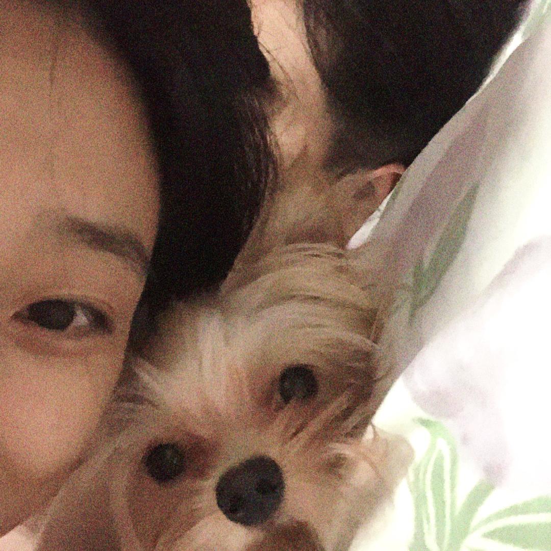 汪旺王