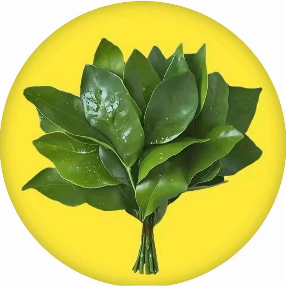 刘天蝎
