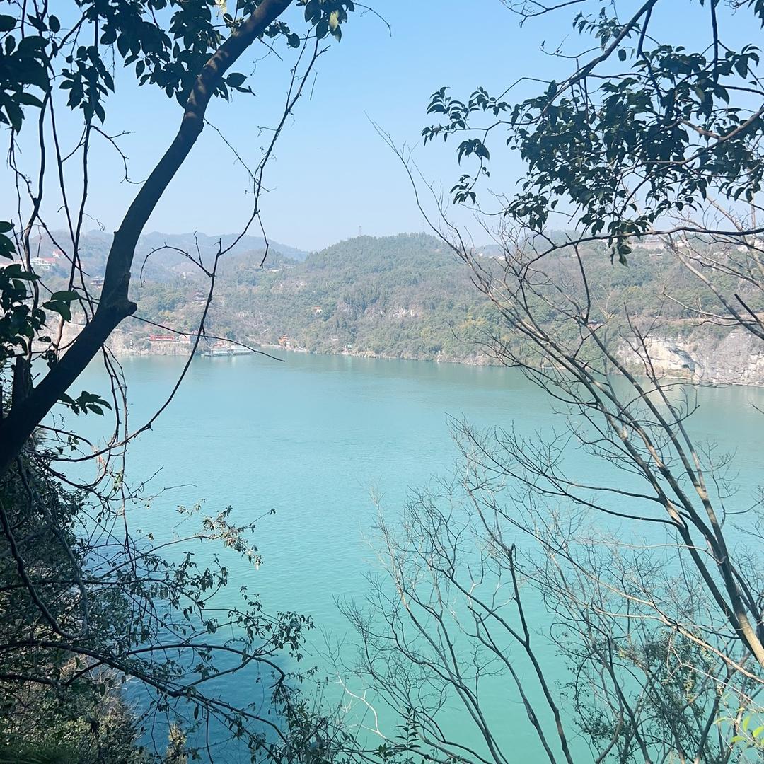 乘风破浪🌊