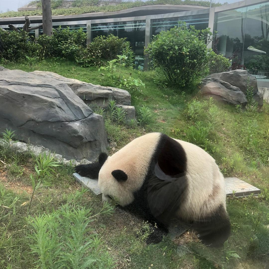 追寻客